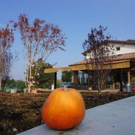 Agriturismo Campogrande Carpaneto Piacentino 外观 照片