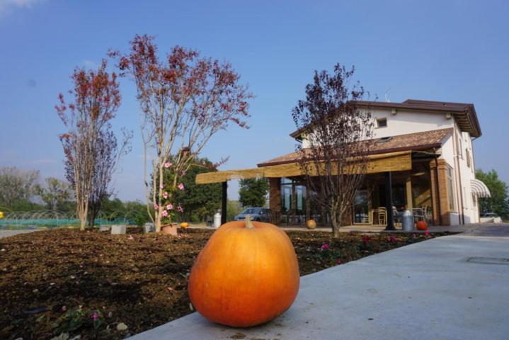 Agriturismo Campogrande Carpaneto Piacentino 外观 照片